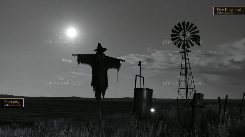 Scarecrow in a moonlit field with a windmill
