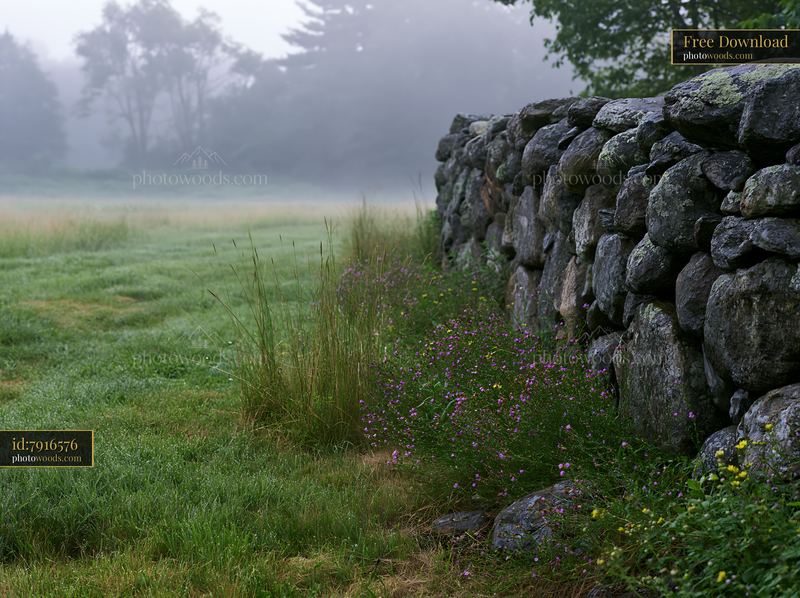 Morning mist over a meadow with a stone wall along the edge