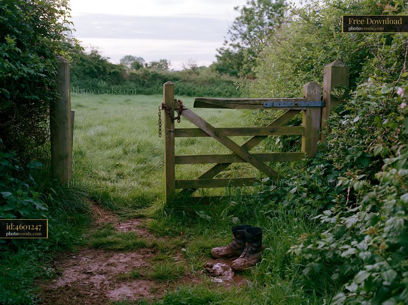Gate opening to a meadow surrounded by hedgerows