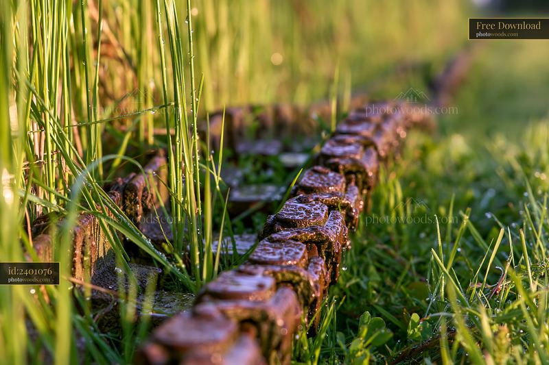 Close-up of panzer tank tracks covered in grass and dewdrops