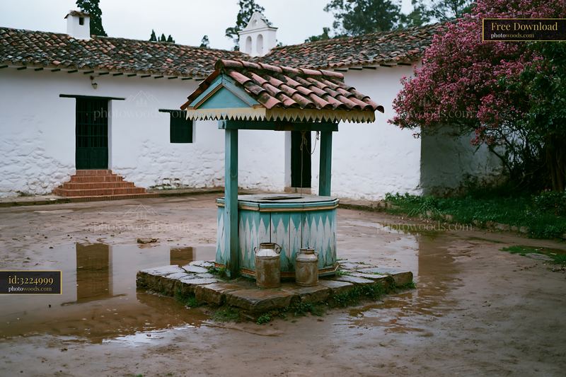 Farmhouse courtyard with well and pink flowering shrub