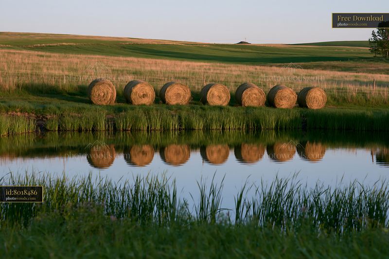 Coastline with oyster beds and reflections in still water