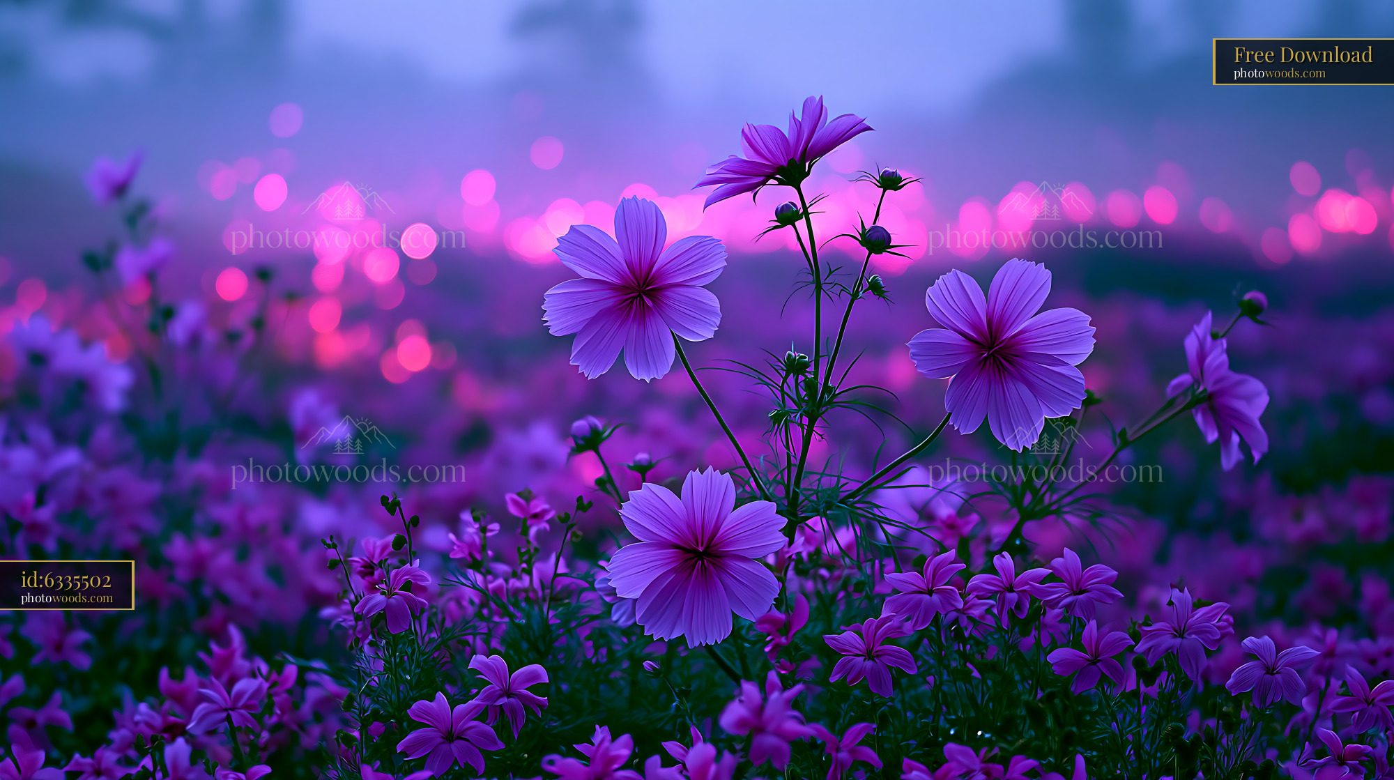 Flowers Bloom in a Vibrant Field Under Twilight Sky