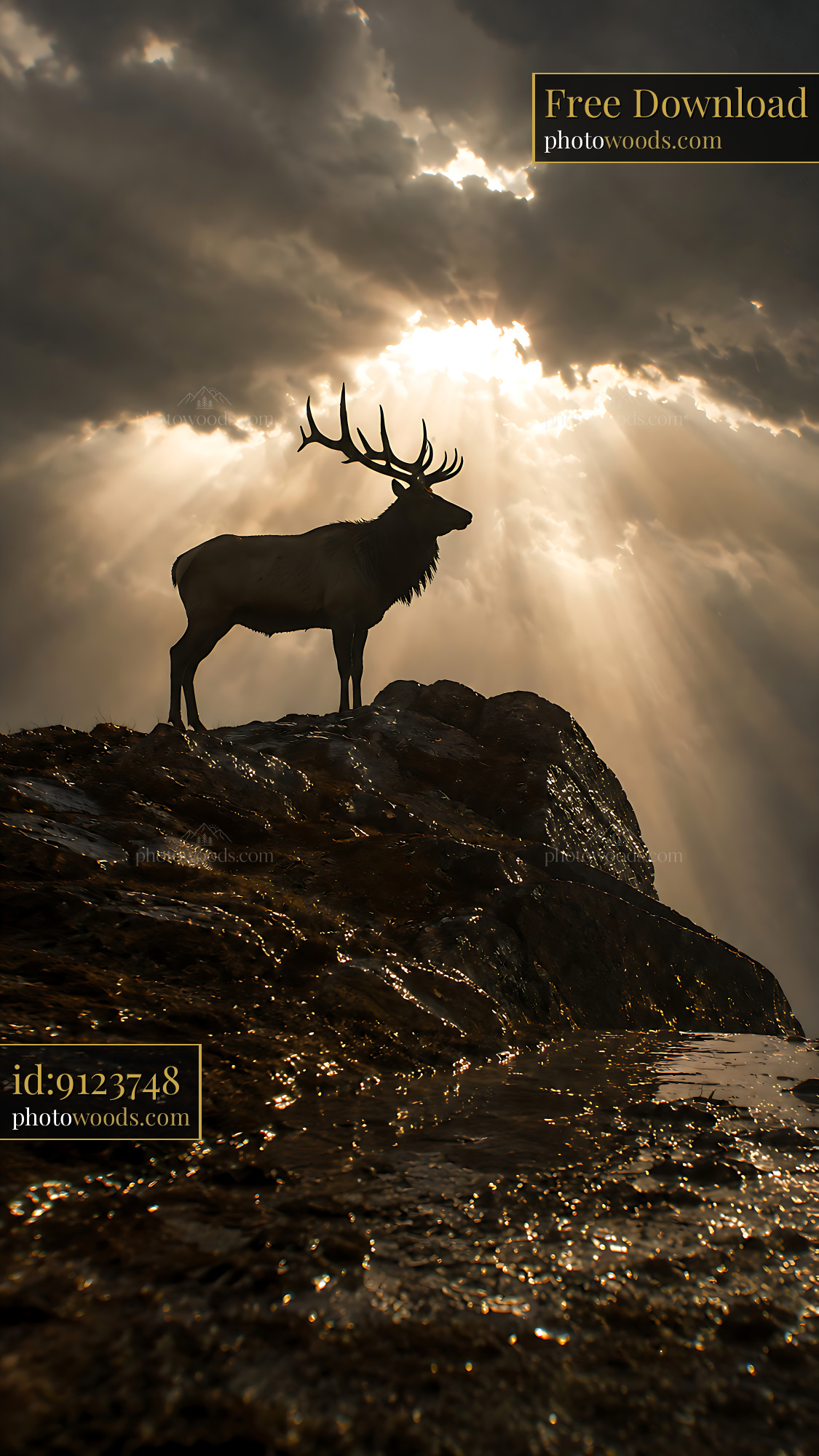 Deer Stands on Rock Under Clouds With Beams of Light Shining