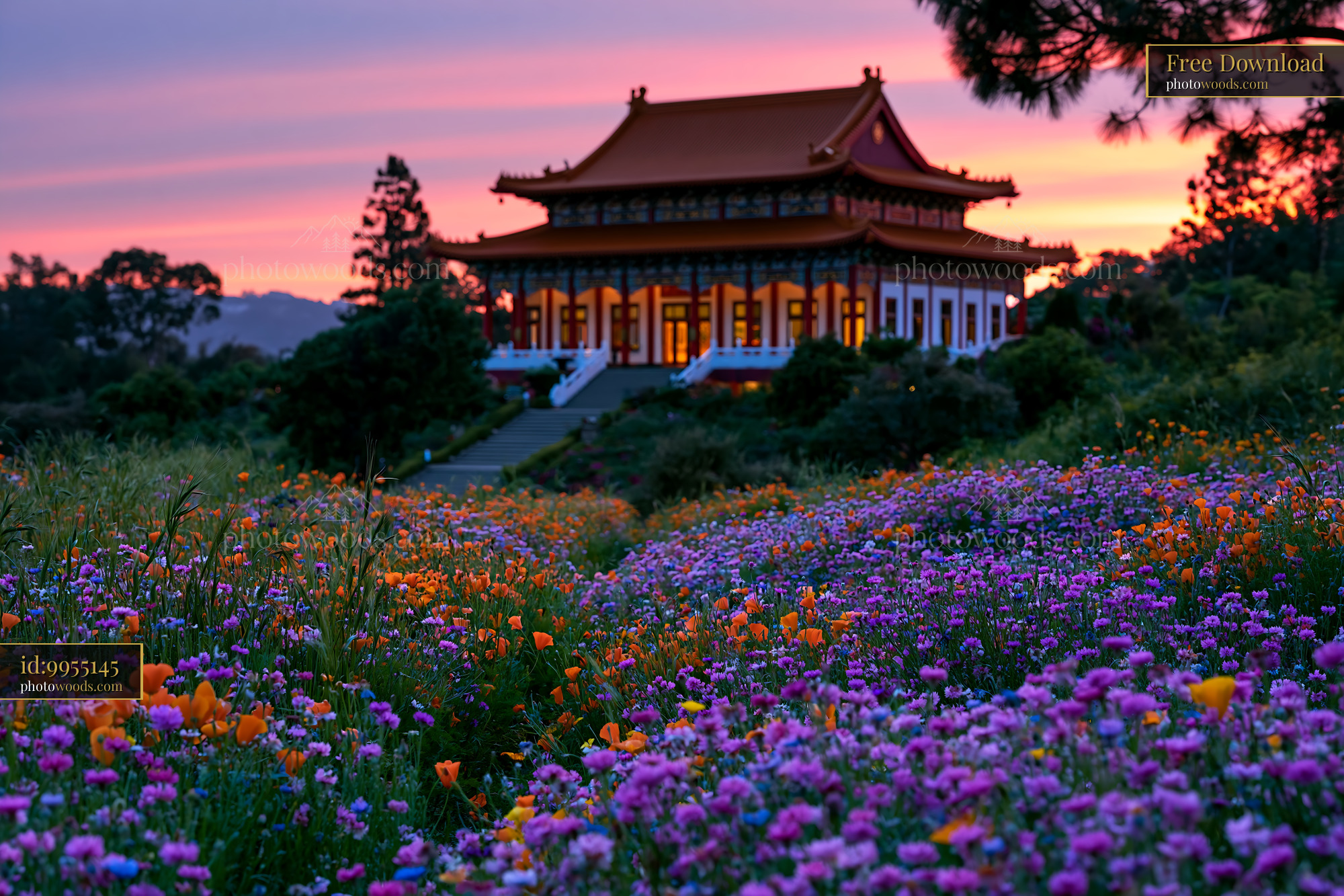 Hsi Lai Temple With Vibrant Wildflowers at Sunset