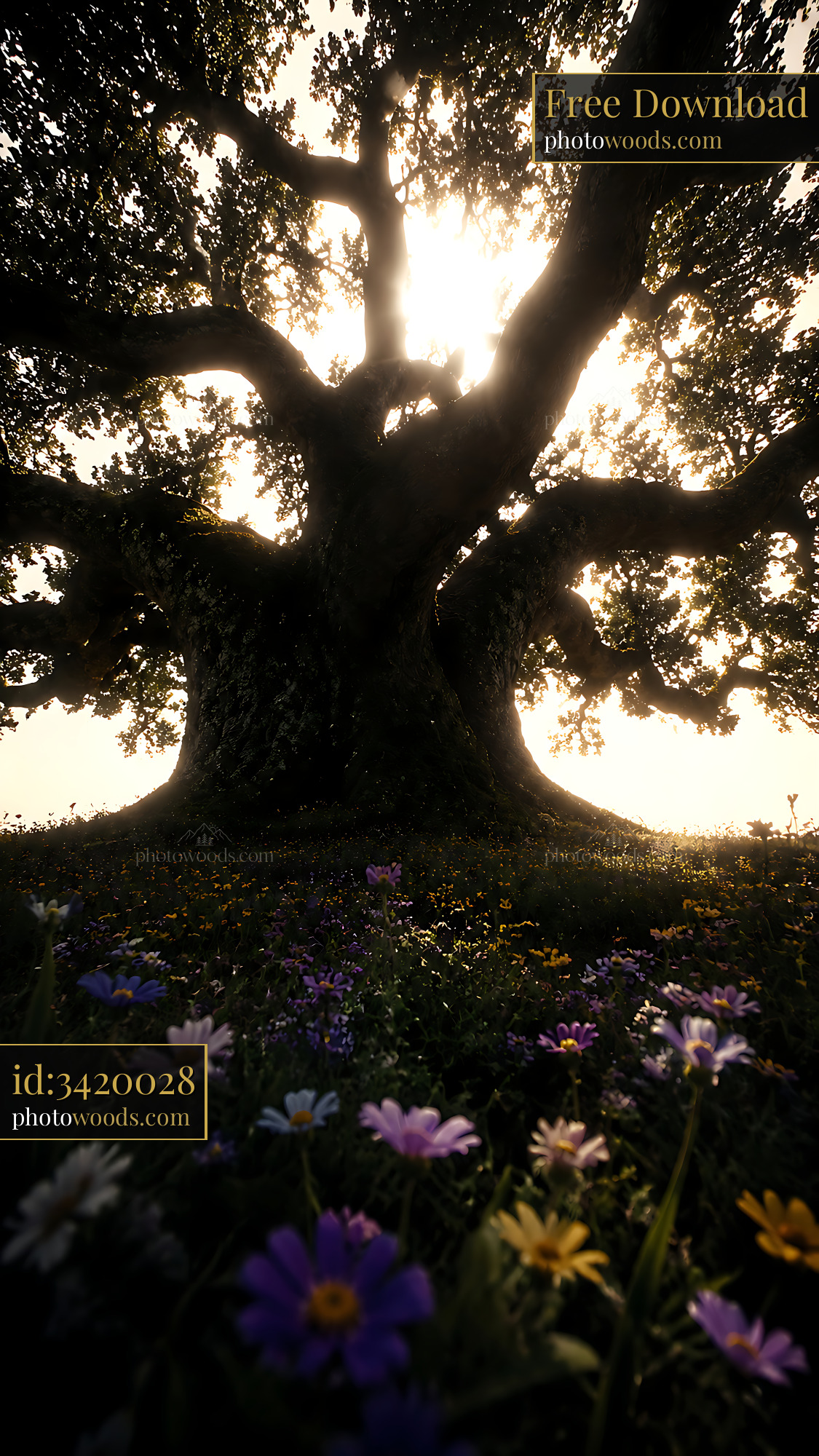 Large Tree With Sprawling Branches and Colorful Flowers Below