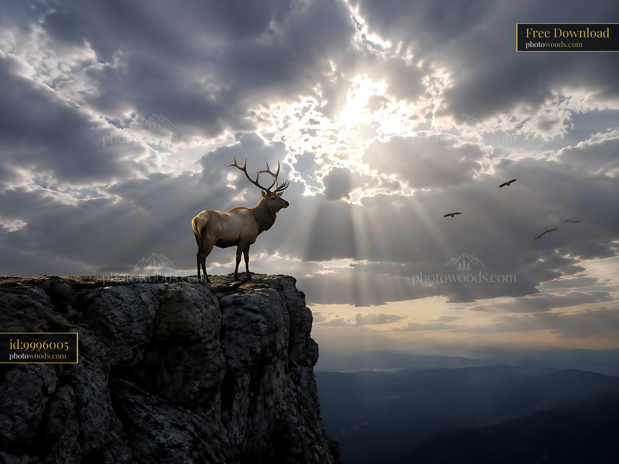 Elk Stands on Rocky Cliff Under Cloudy Sky With Sunlight Rays