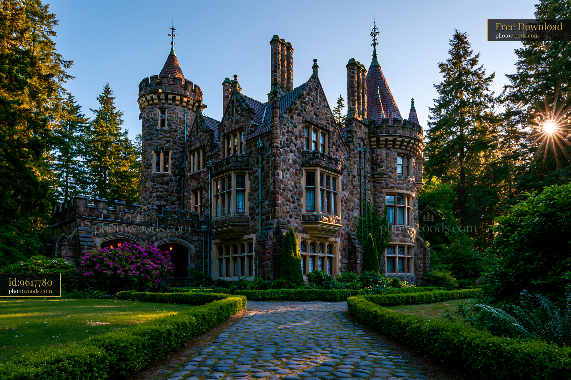 Historic Stone Castle Surrounded by Trees at Sunset