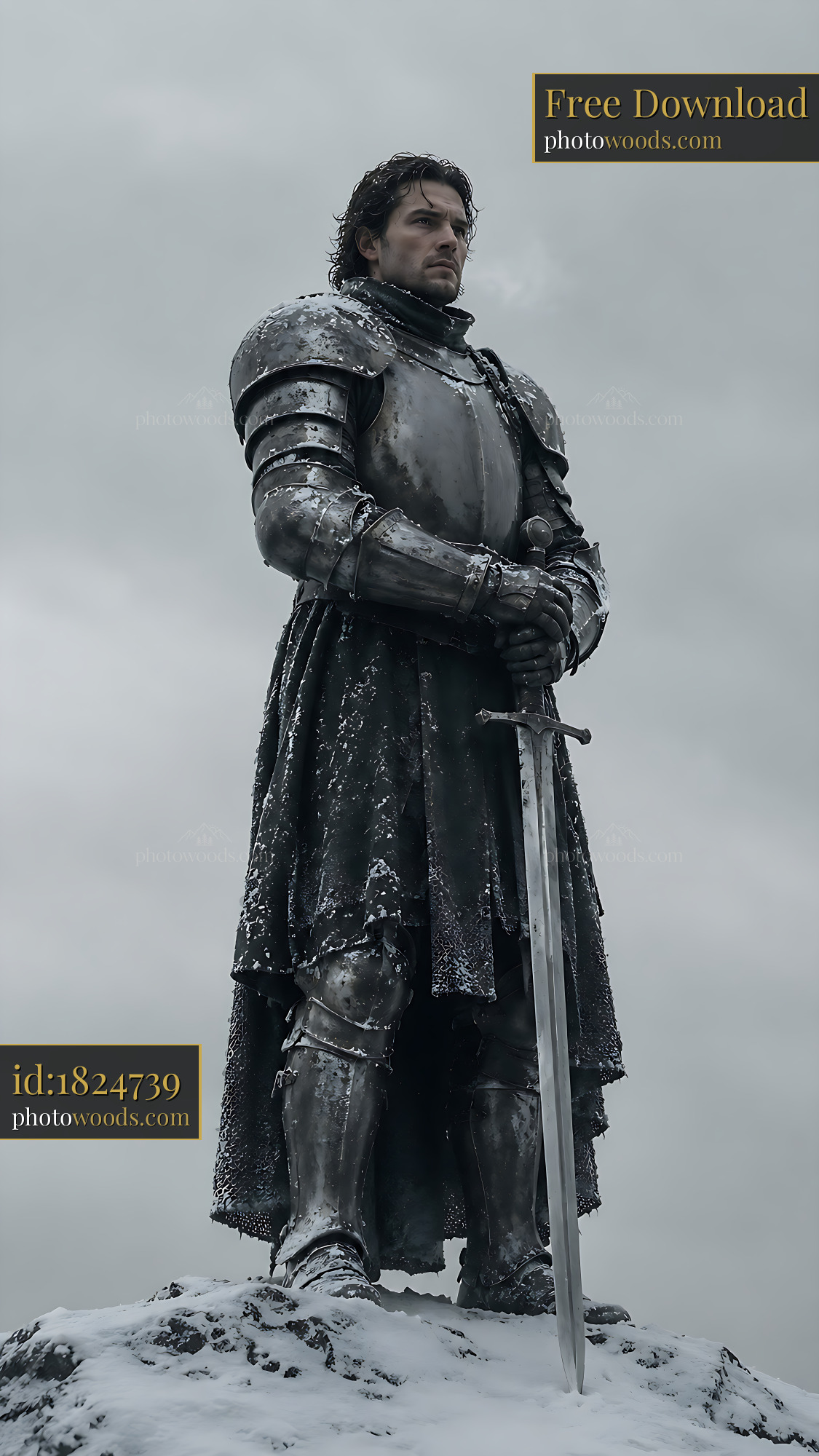 Knight Stands Tall on Snowy Mountain Under Cloudy Sky