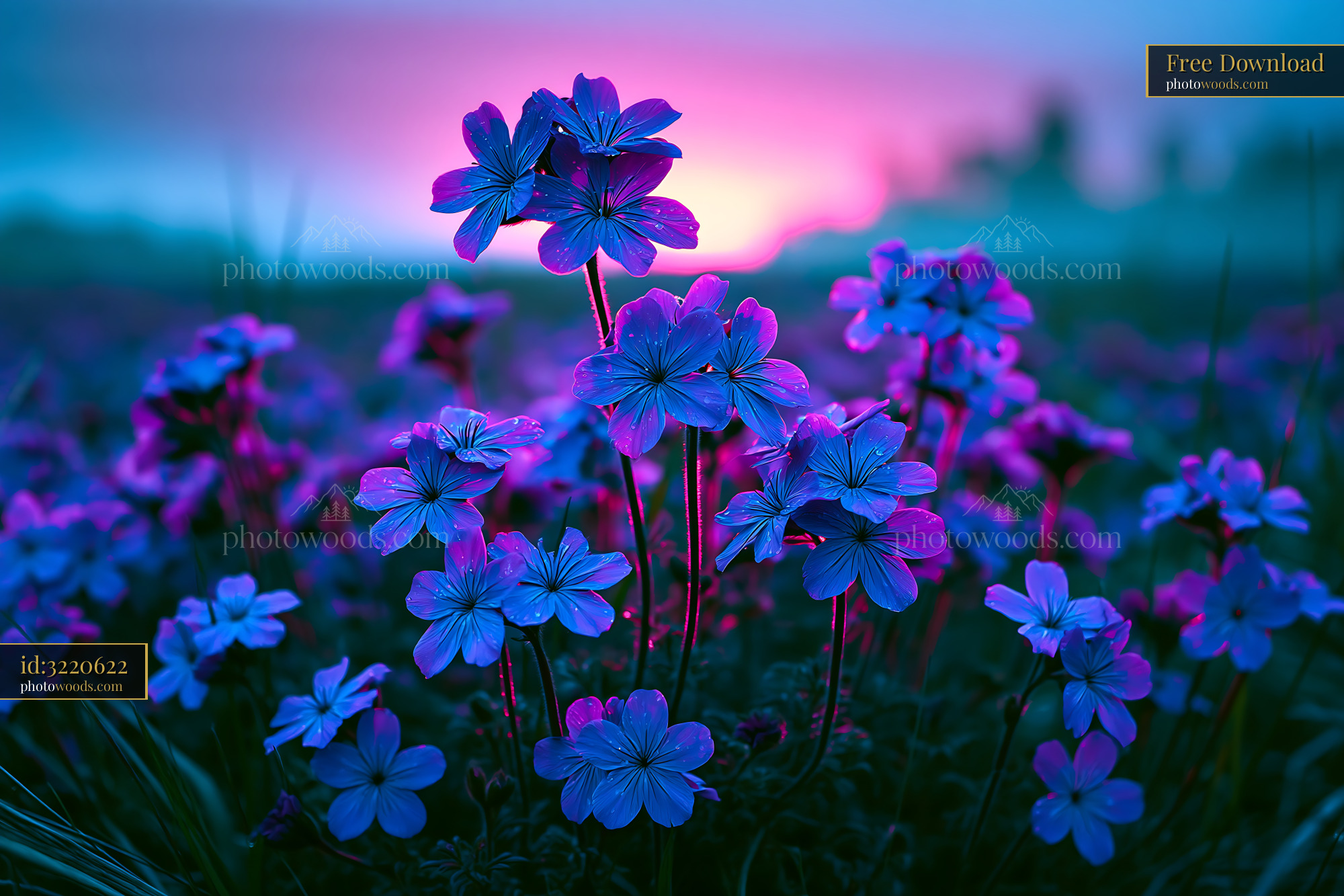 Flowers Bloom at Dusk With Purple and Blue Hues Lighting the Sky