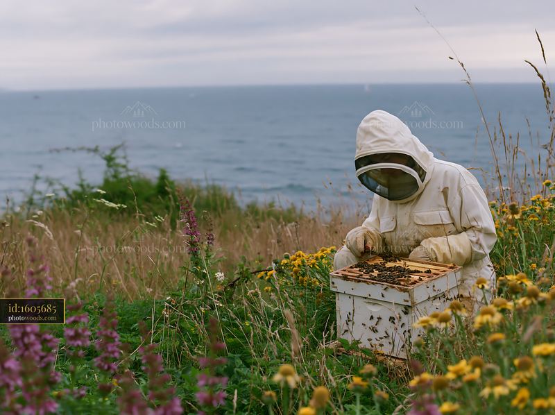 Beekeeper working in a coastal meadow overlooking ocean