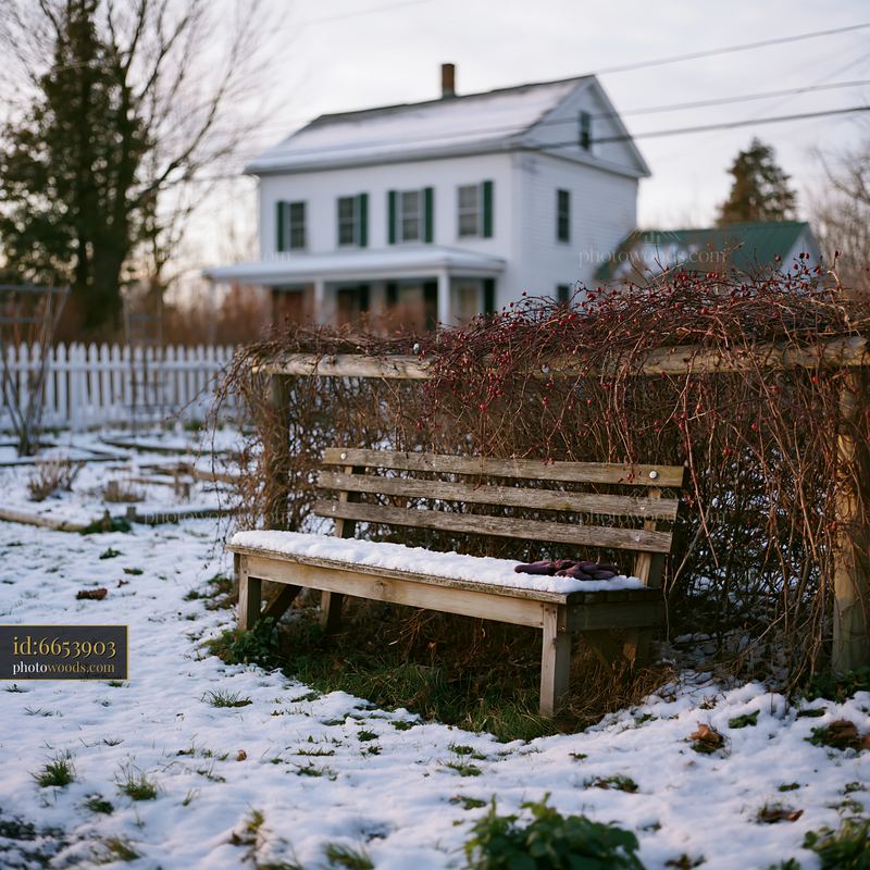 Winter garden outside farmhouse with bench and snow
