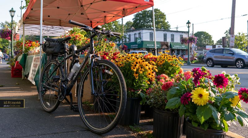Mixed seasonal flowers by bicycle at outdoor farmers market