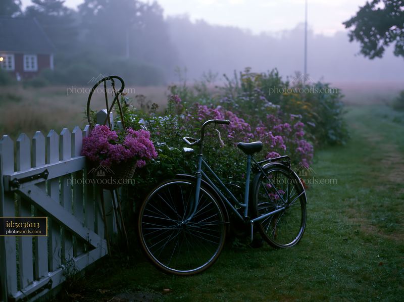 Misty countryside around cottage with a bicycle and flowers