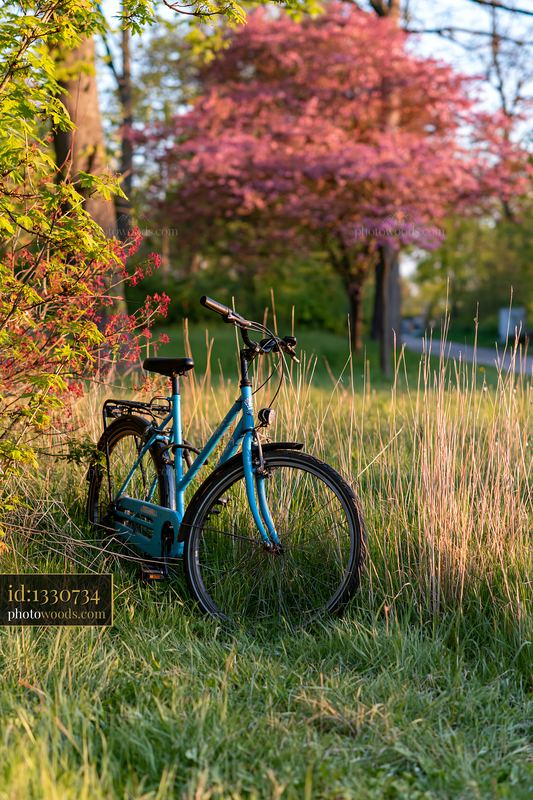 Colorful spring trees along a country road with a parked bike