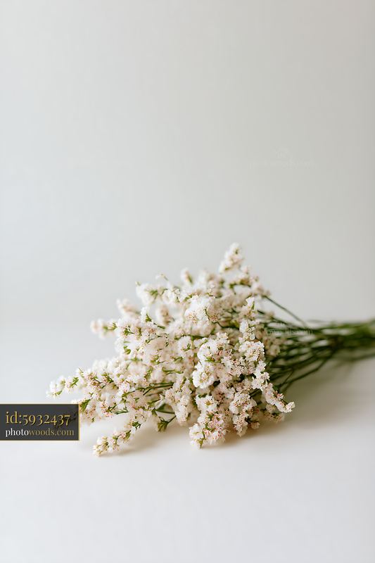 Delicate bouquet of white flowers on light background