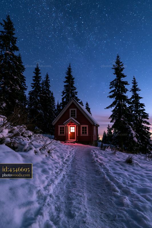Snow-covered cabin under stars on a forest path