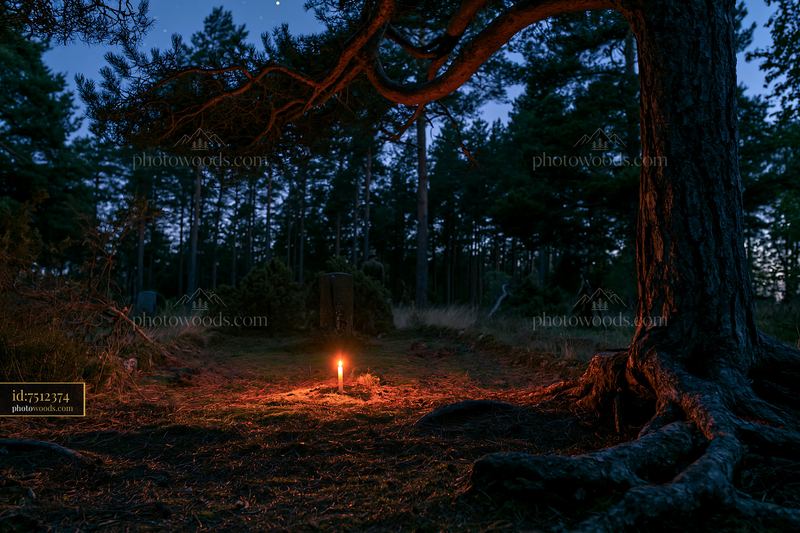 Candle beside a soldier's grave under stars in a wooded area