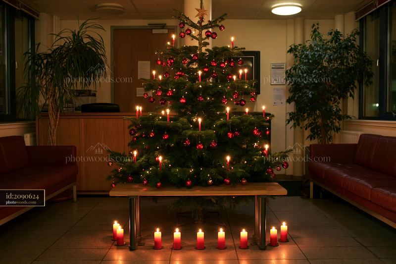 Christmas tree displayed with candles nearby in a cozy room