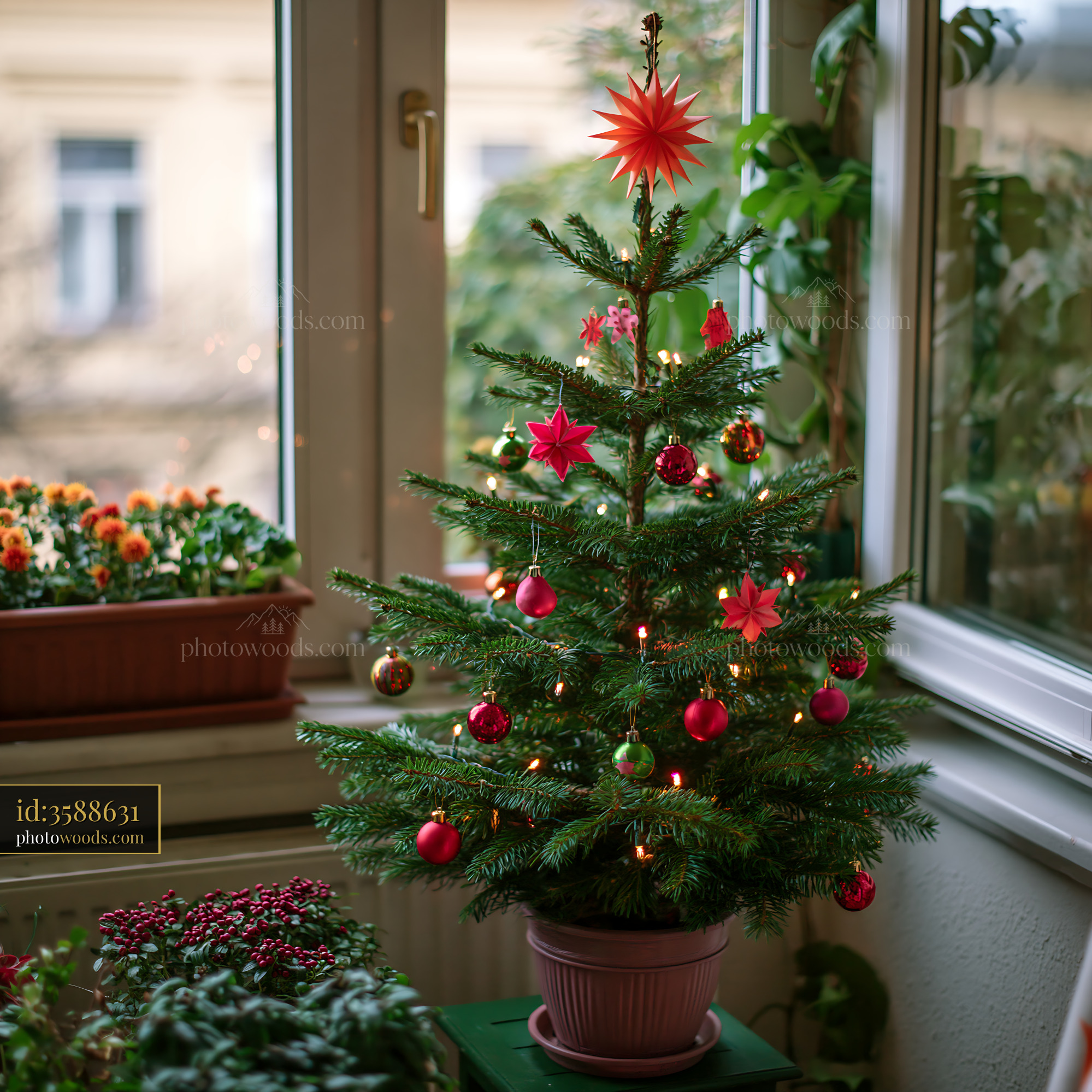 A Christmas tree stands on a balcony with colorful decorations and lights.