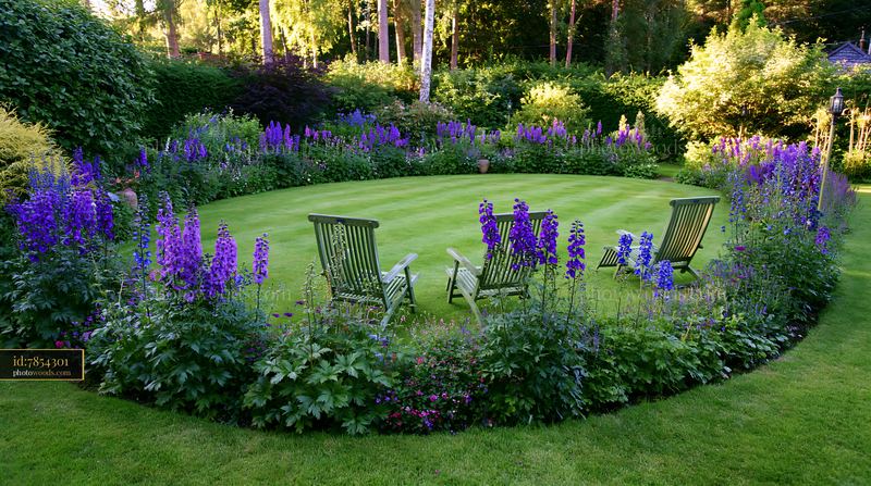 Delphinium flower border around a circular lawn seating area