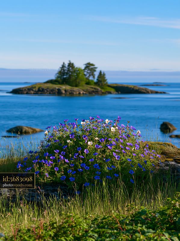 Island with colorful flowers in a calm bay under clear skies