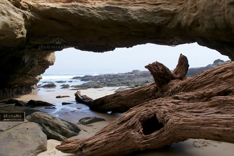 Coastline visible through sea cave with weathered tree trunk