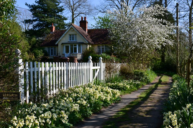 Countryside house in spring with flowers and pathway