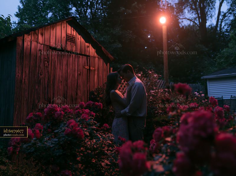 Couple embraces among roses under moonlight in a garden