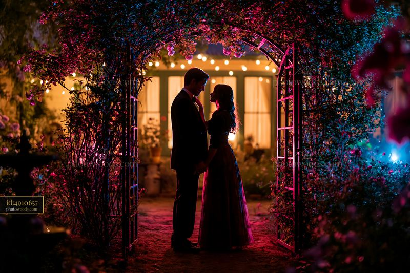 Romantic silhouette of couple in rose garden at night