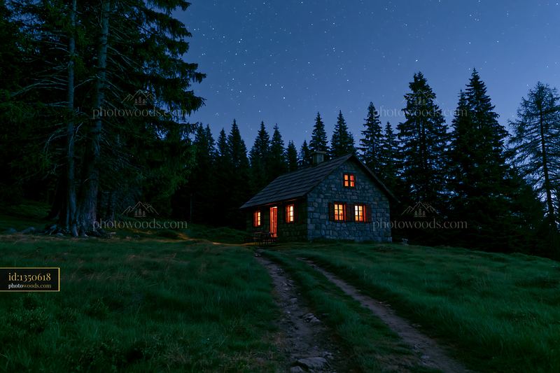 House in a meadow beneath stars with trees at dusk