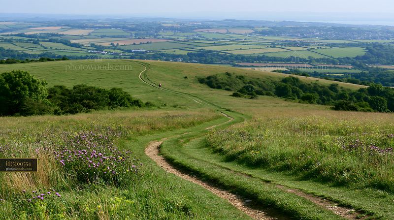 Curving footpath through wildflower meadow overlooking rural farmland