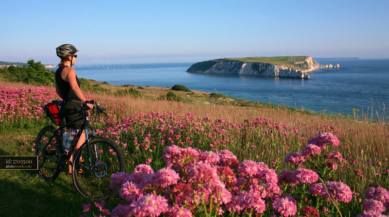 Biker overlooking flowers on island with white cliffs