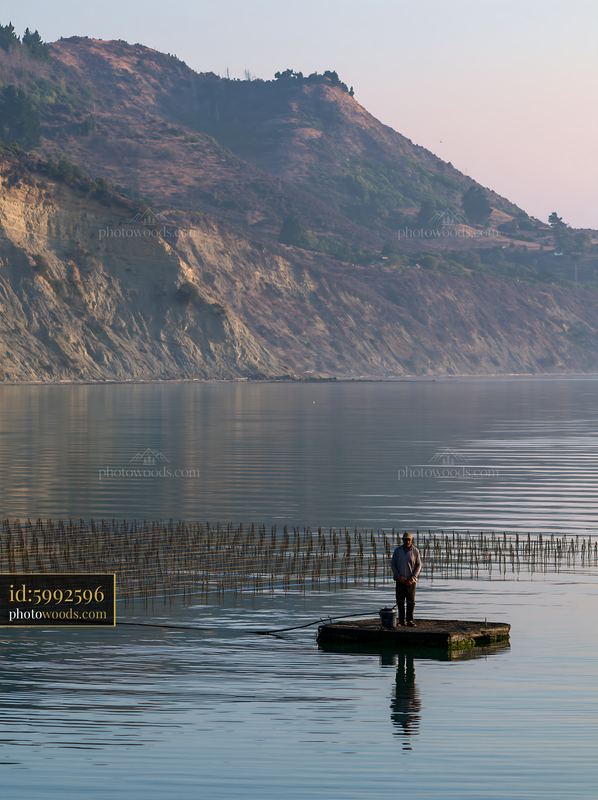Coastline with mussel farms and a fisherman at dawn