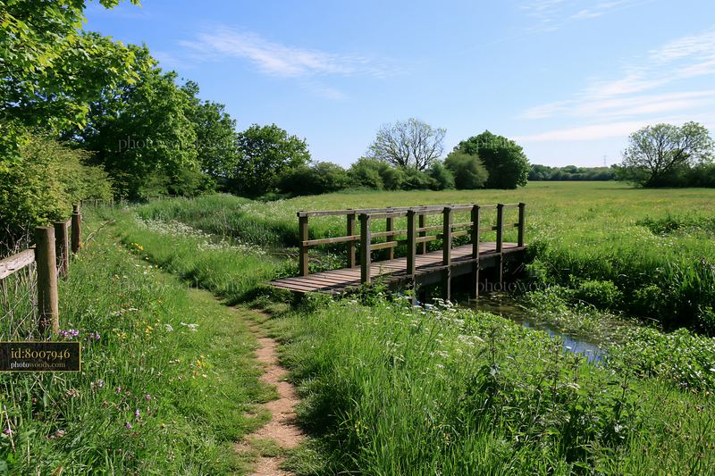 Footpath through wildflower meadow with a wooden bridge