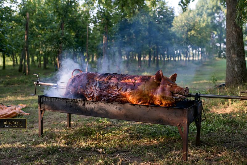 Freshly roasted pig on outdoor grill at a garden celebration