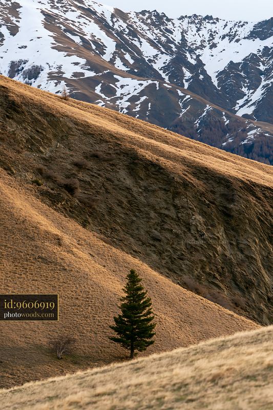 Snow patches on high mountain ridge with lone tree