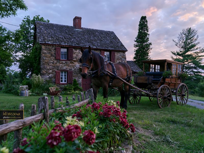 Horse pulling carriage by a rustic stone house