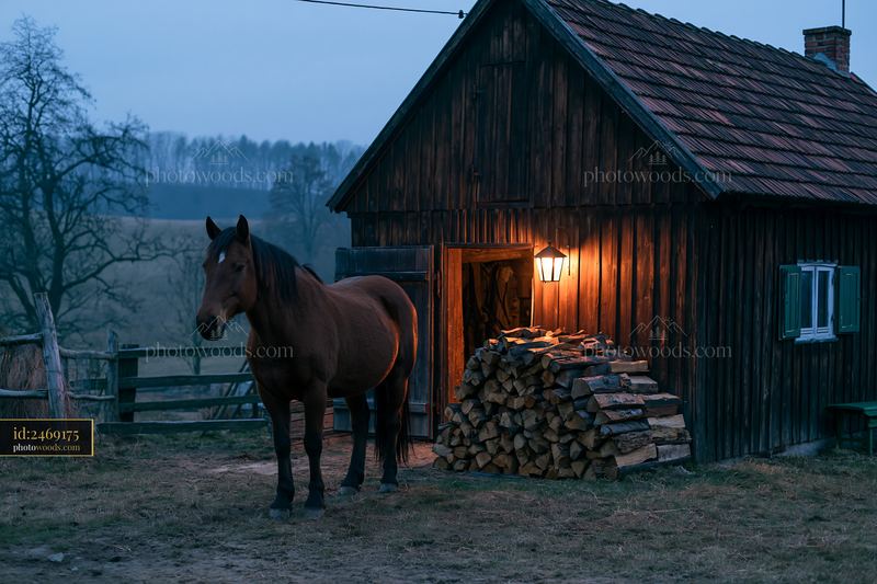 Horse near a lantern-lit stable with firewood stacks