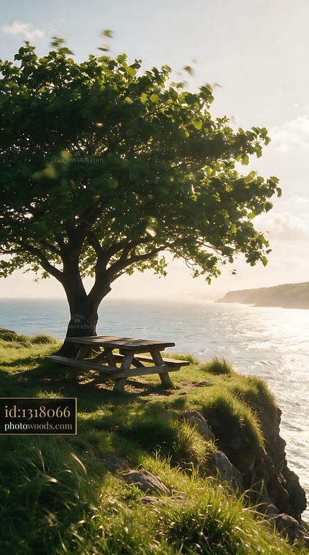 Large shade tree over picnic area near the coast