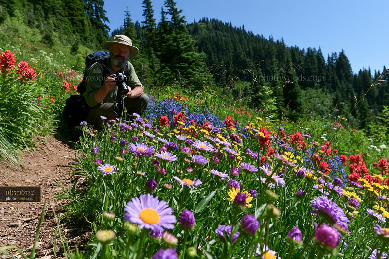 Man photographing meadow flowers in a colorful landscape