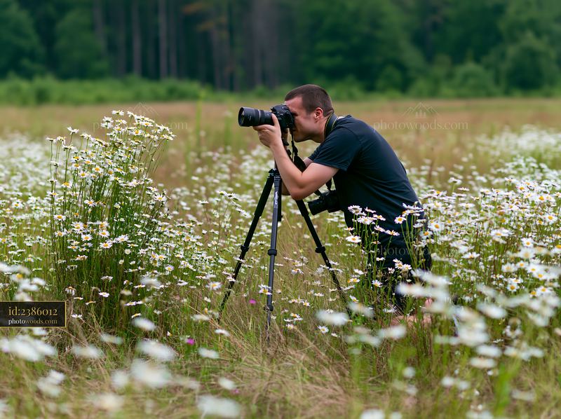 Man photographing meadow flowers in natural setting