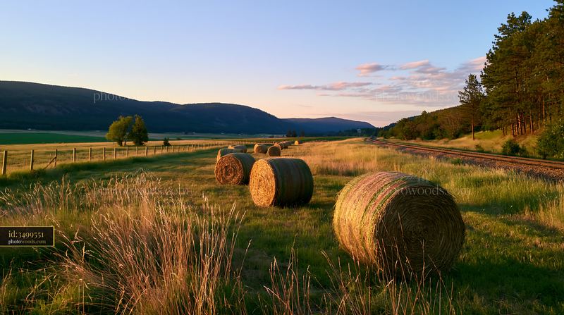 Meadow alongside railway tracks with hay bales in evening light