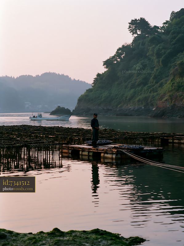 Mussel farmer working on a floating platform in the coastline