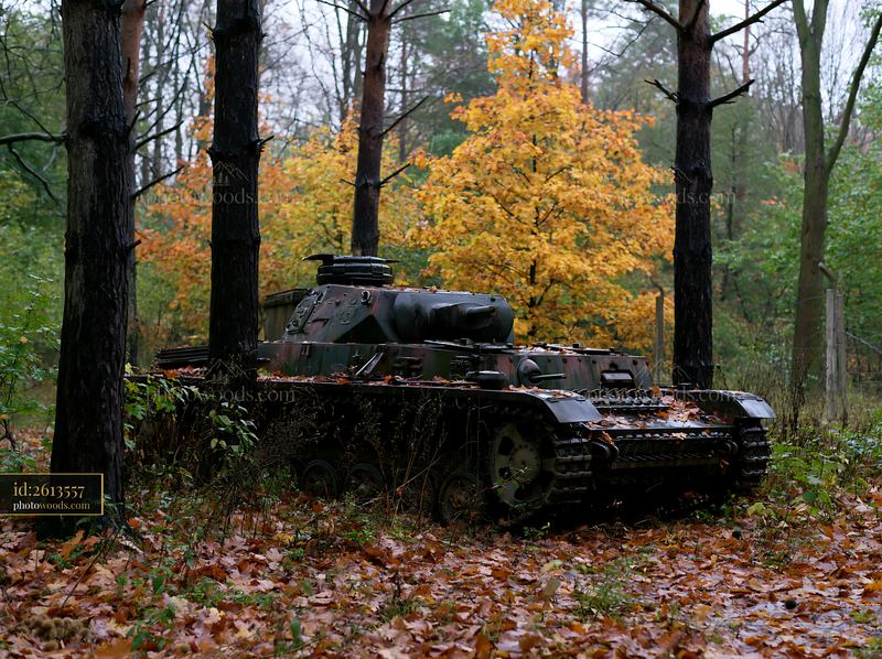 Panzer tank in autumn forest surrounded by fallen leaves