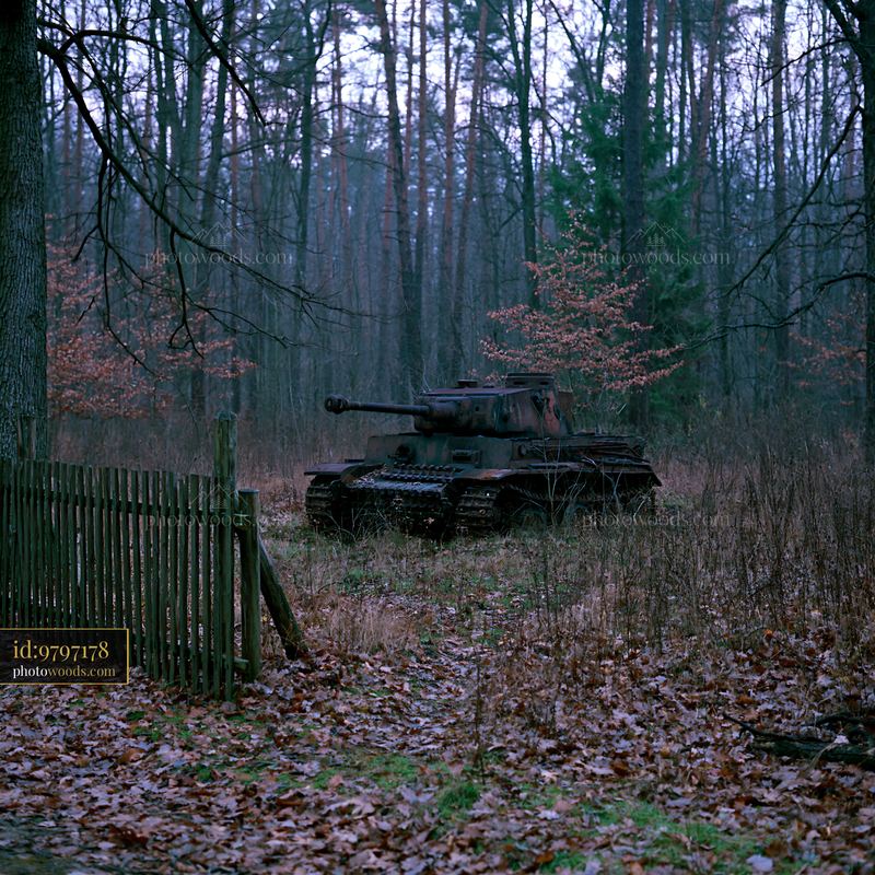 Panzer tank in autumn forest with trees and fallen leaves