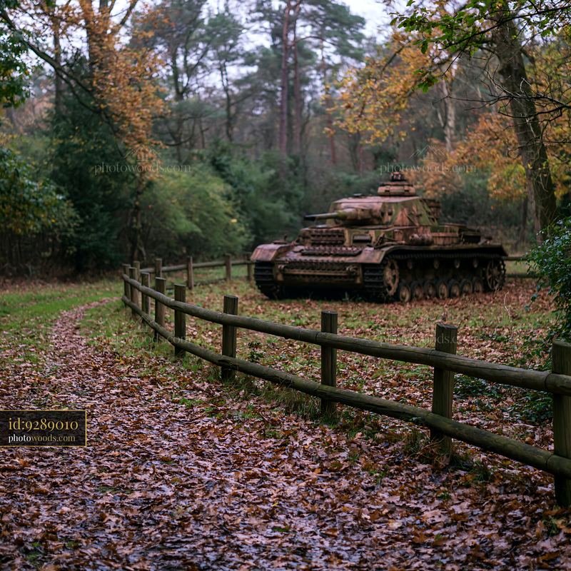 Panzer tank in autumn forest setting with fallen leaves