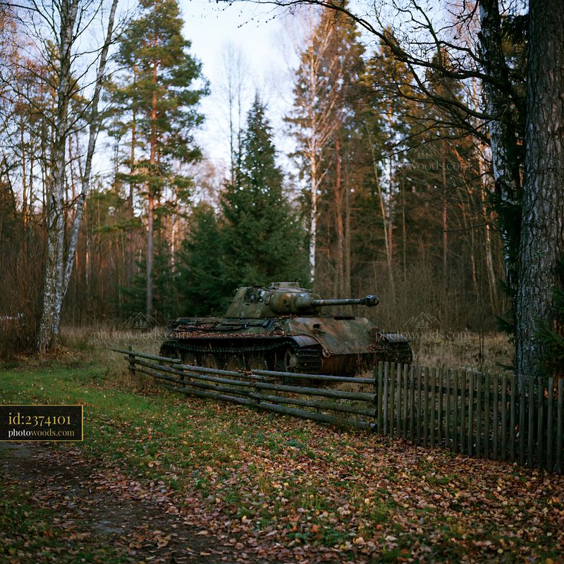 Panzer tank in autumn forest setting