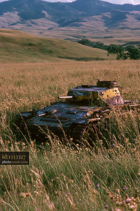 Panzer tank surrounded by grass in a field