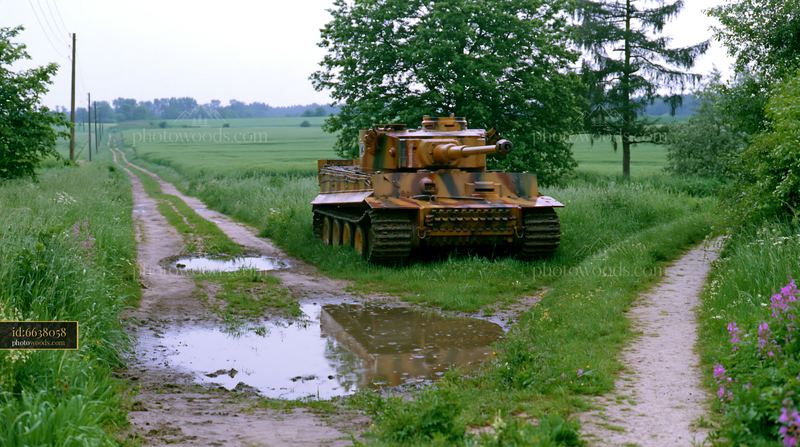 Panzer tank surrounded by grass on a rural path